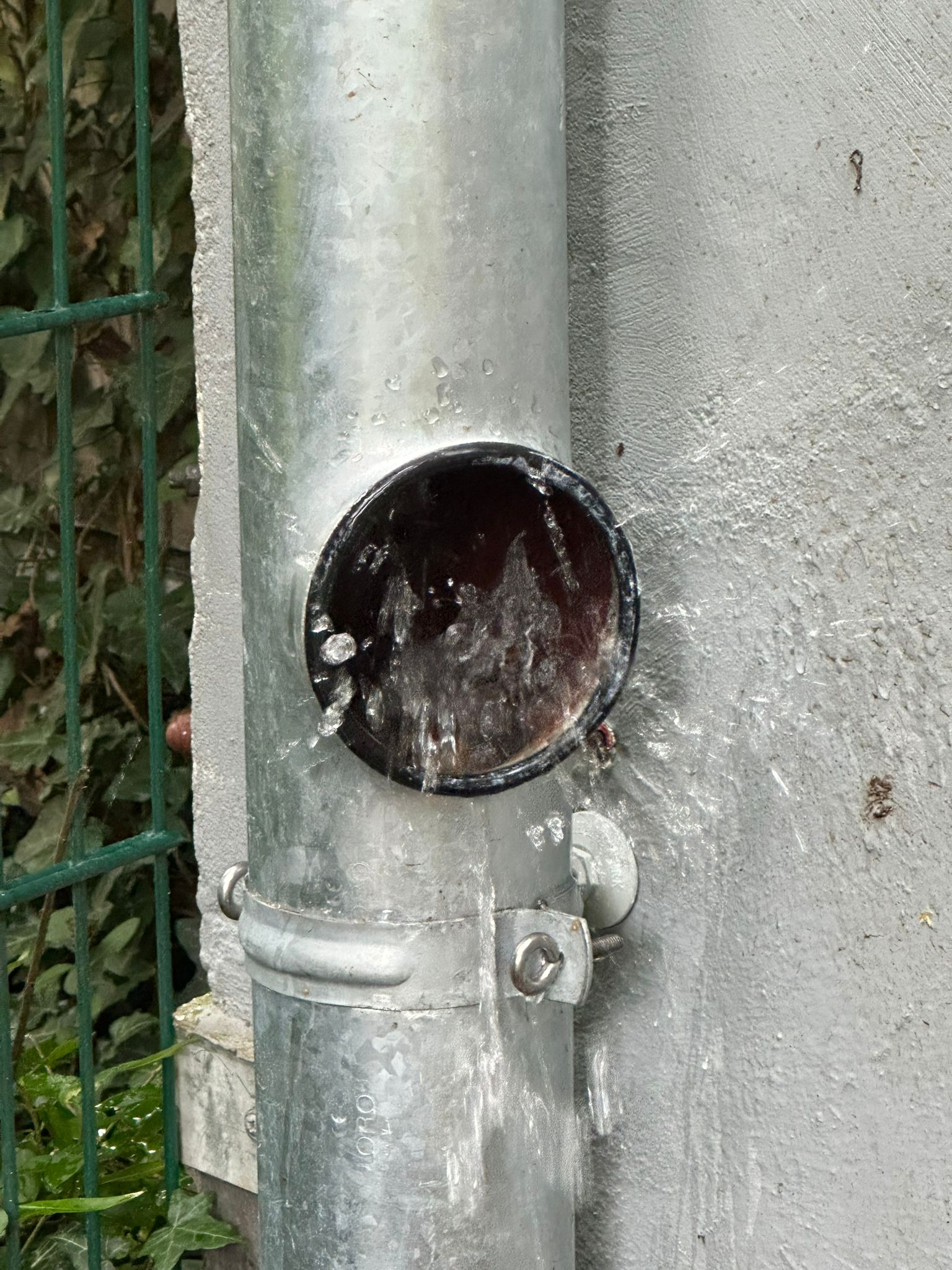 PHOTO-2025-07-31-09-40-25 2